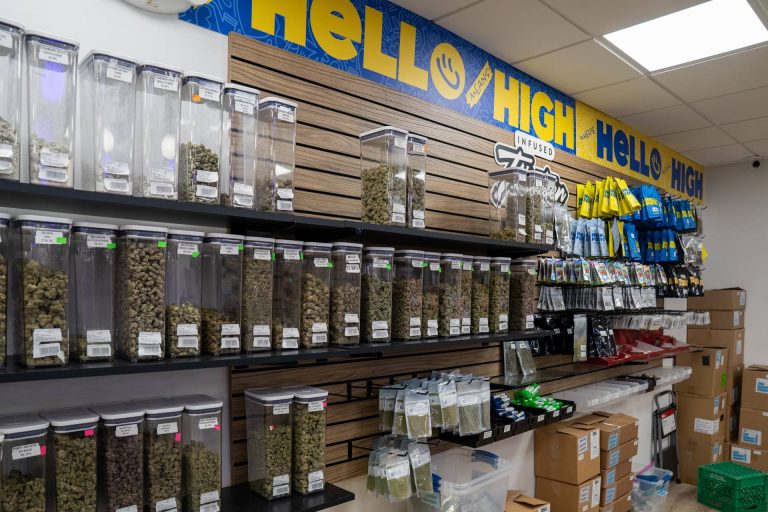 Exploring the Mind-Body Connection: How Cannabis Supports Holistic Wellness